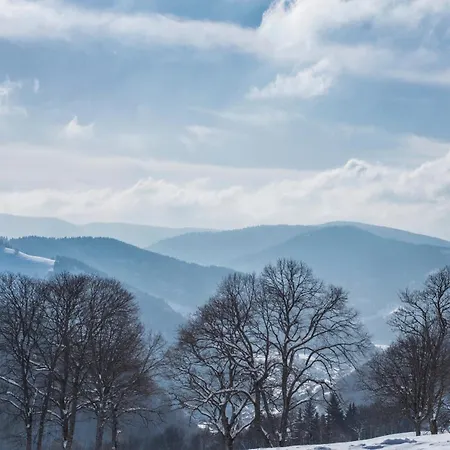 Daire Kraftquelle Im Wohnpark Schwarzwaldblick, Bernau im Schwarzwald