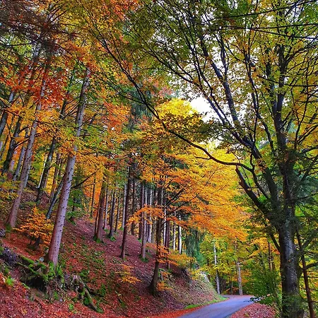 Kraftquelle Im Wohnpark Schwarzwaldblick, * Bernau im Schwarzwald