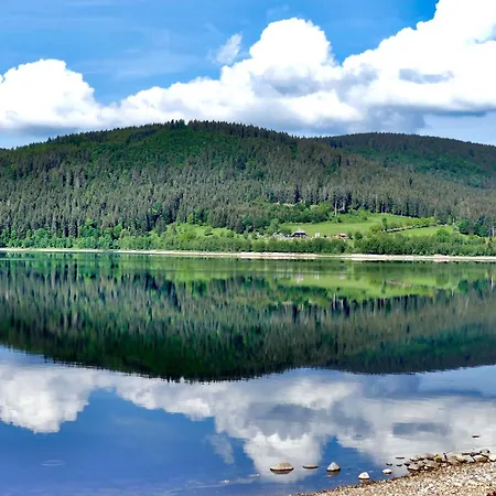 Kraftquelle Im Wohnpark Schwarzwaldblick,