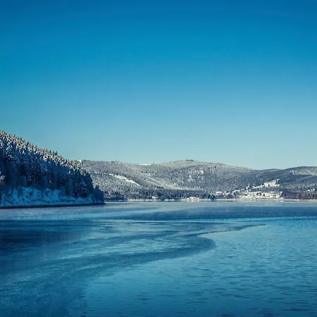 Kraftquelle Im Wohnpark Schwarzwaldblick, Daire *