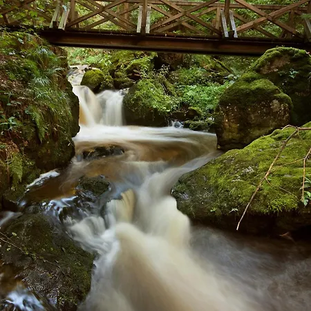Daire Kraftquelle Im Wohnpark Schwarzwaldblick, *
