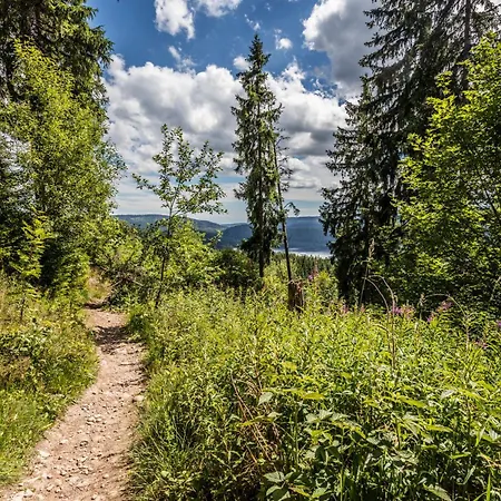 Kraftquelle Im Wohnpark Schwarzwaldblick, *
