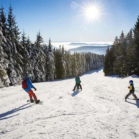 Kraftquelle Im Wohnpark Schwarzwaldblick, Bernau im Schwarzwald