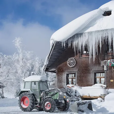 Daire Kraftquelle Im Wohnpark Schwarzwaldblick, *