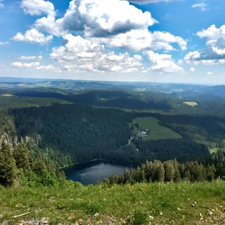Kraftquelle Im Wohnpark Schwarzwaldblick, *